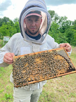 Meet Nordic Honey beekeepers — Nordic Honey